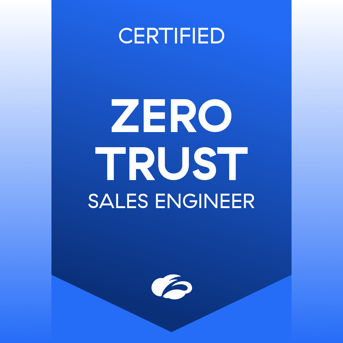 Pass Zscaler ZCSE Exam Online & Pay After Pass