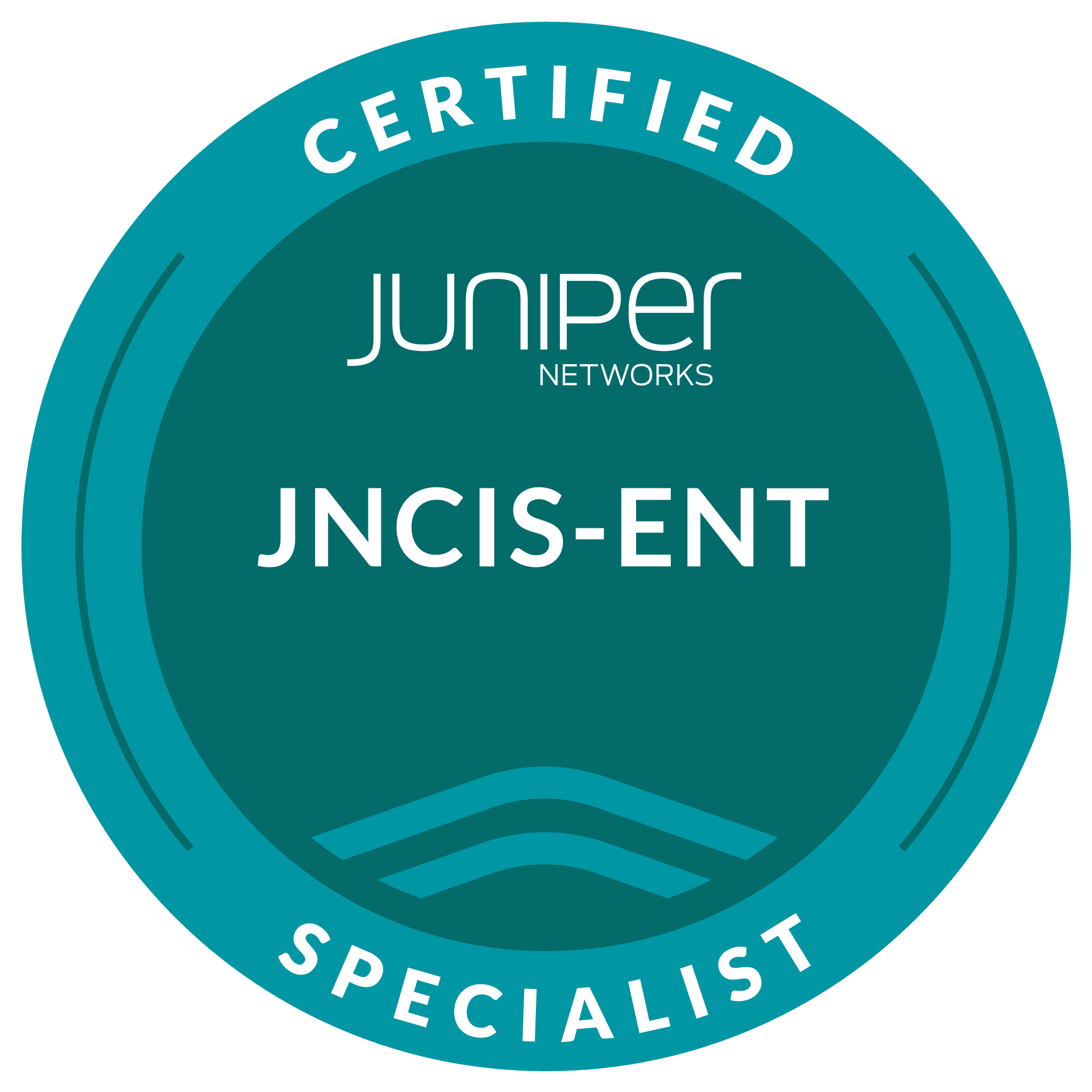 Pass Juniper JNCIS-ENT JN0-351 Exam Online & Pay After Pass