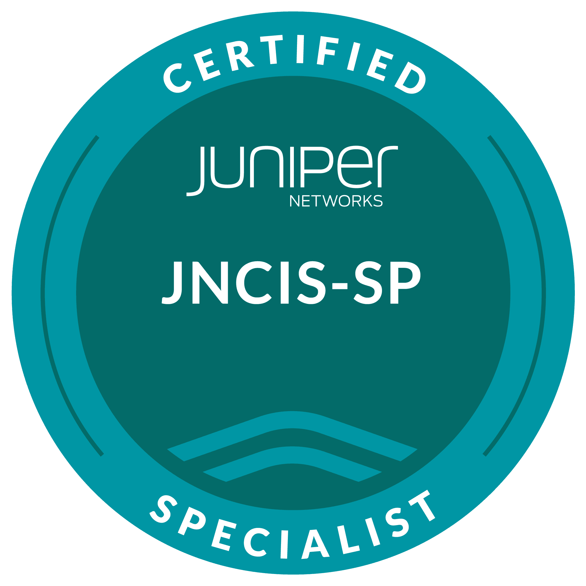 Pass Juniper JNCIS-SP JN0-363 Exam Online & Pay After Pass