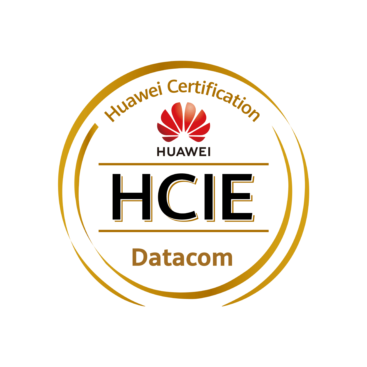 Pass Huawei HCIE Exam Online & Pay After Pass